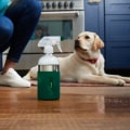 Non-toxic Cleaning Solutions for Pets: Keep Your Home Clean and Safe for Your Furry Friends