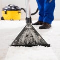 How much does a professional carpet cleaner machine cost?