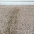 Do home carpet cleaners damage carpet?