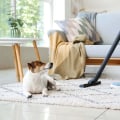 Pet Hair Removal Techniques: Keeping Carpets Clean and Safe for Pets