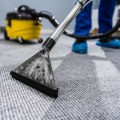 The Importance of Professional Carpet Cleaning for Improved Air Quality