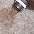 How long to leave hydrogen peroxide on carpet stain?