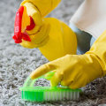 Natural Alternatives for Sensitive Individuals: A Guide to Carpet Cleaning