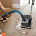 What is the best carpet cleaner to get urine out of carpet?