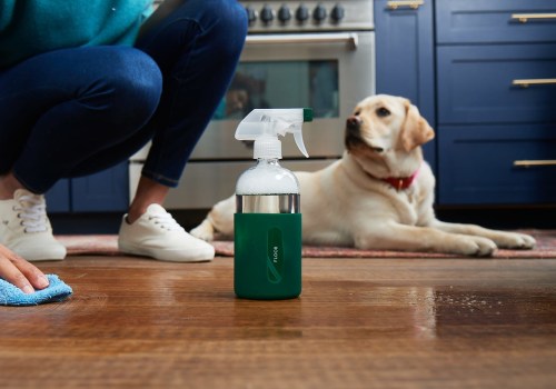 Non-toxic Cleaning Solutions for Pets: Keep Your Home Clean and Safe for Your Furry Friends