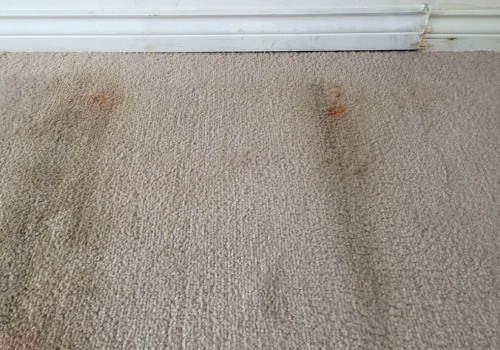 Do home carpet cleaners damage carpet?