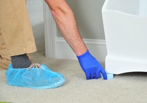 Do steamers really clean carpets?