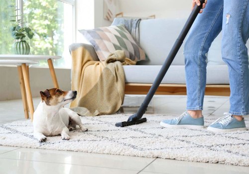 Pet Hair Removal Techniques: Keeping Carpets Clean and Safe for Pets