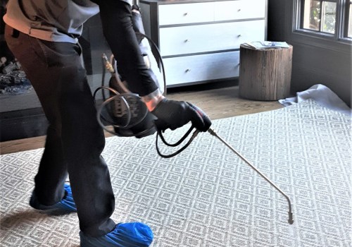 Increasing Carpet Durability: Professional Cleaning and Stain Protection Options